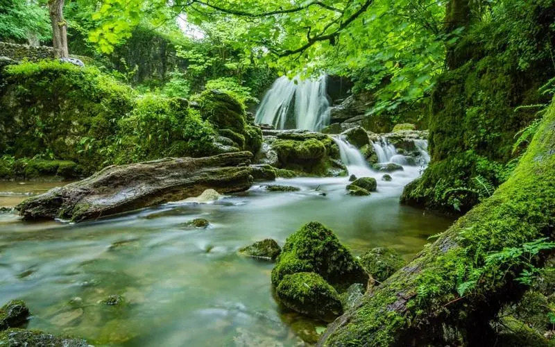 电子可靠性